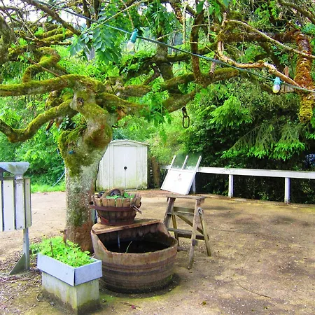Holiday home Quaint In Maboge With Sauna La Roche-en-Ardenne