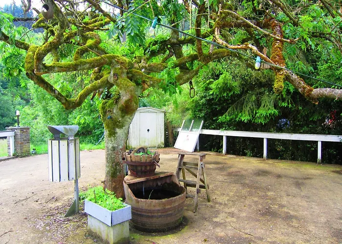 Group Getaway With Sauna Ferienhaus La Roche-en-Ardenne